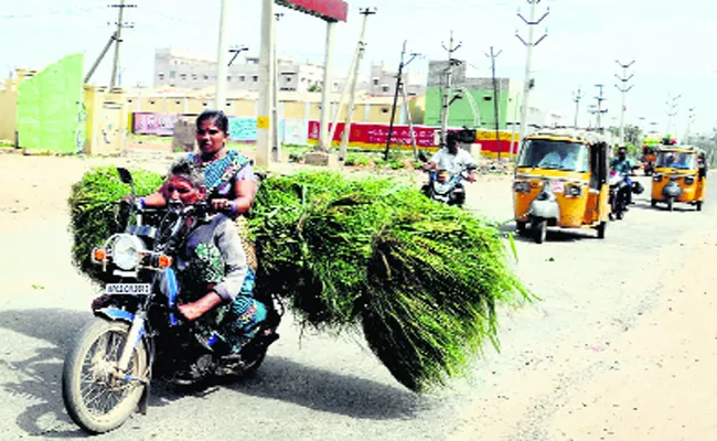 Woman Struggling for Dairy Farming In Anantapur - Sakshi