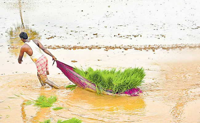 Cultivation of Kharif crops has exceeded one crore of acres - Sakshi