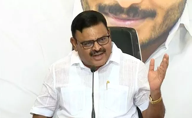 Ambati Rambabu Says Chandrababu Intentionally Criticise Govt - Sakshi