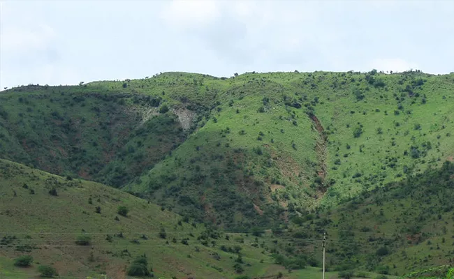 Lankamalla Forest Reserve Zone In Kadapa  - Sakshi