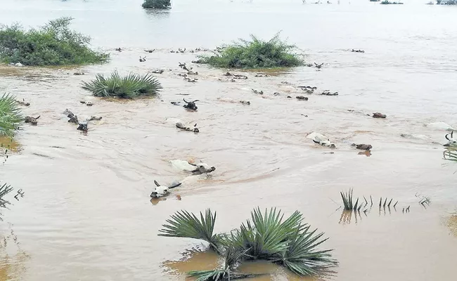 Many villages in the Godavari Flood water - Sakshi