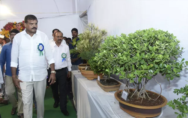 Minister Botsa Satyanarayana Attended Vizianagaram Seconday Festivities  - Sakshi