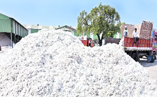 Cotton Purchases Is Going To Start In Adilabad - Sakshi