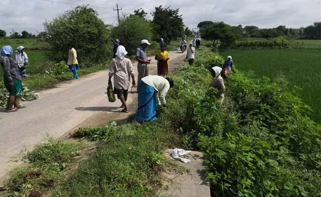 Salary Hike For Panchniayat Workers In Telangana - Sakshi