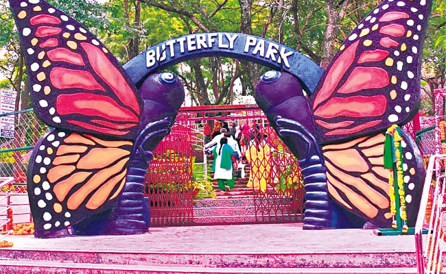 Butterfly Park in Nehru Zoological Park hyderabad - Sakshi