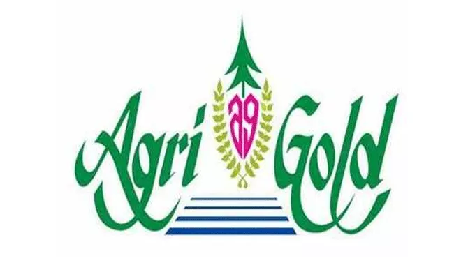 AP Govt Release 250 Crore For Agrigold Depositors - Sakshi