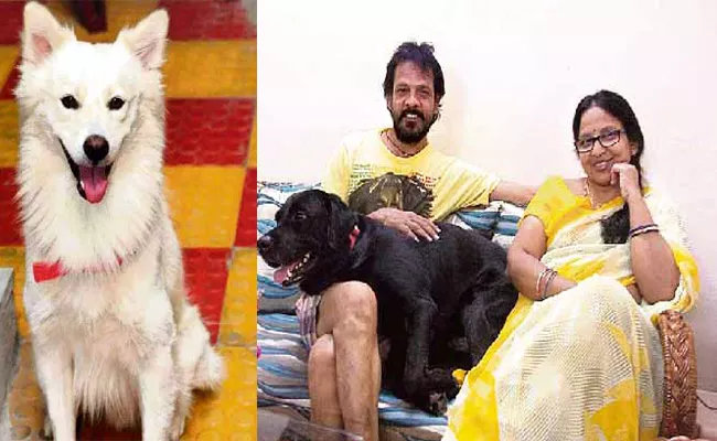 Family Worried About Pet Dog Death in Hyderabad - Sakshi