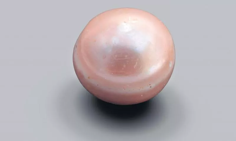 World oldest known natural pearl discovered on Abu Dhabi - Sakshi