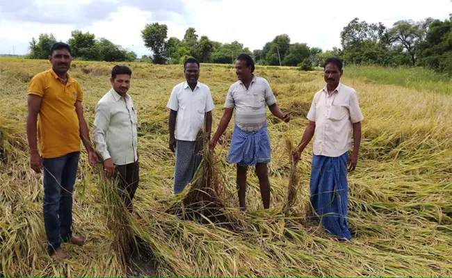 Crops damaged With heavy Rains in Karimnagar - Sakshi