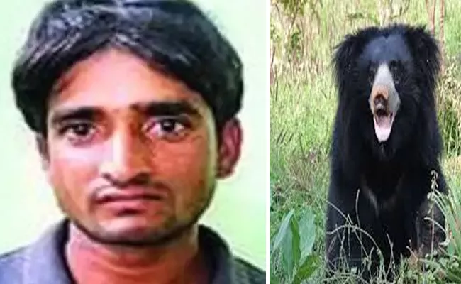 Tiger Poacher Who Killed Bears To Eat Their Genitals Arrested In Madhya Pradesh - Sakshi