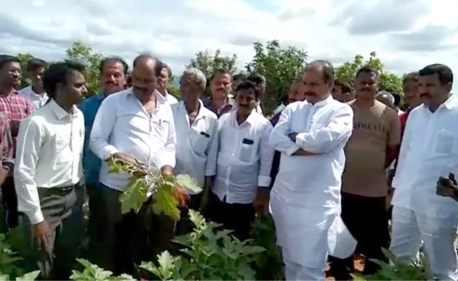 Government Chief Whip Srikanth Reddy Visited the Body of a Farmer Who Committed Suicide - Sakshi