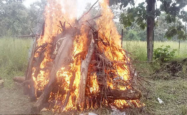 Old Man Commits Suicide in Karnataka - Sakshi