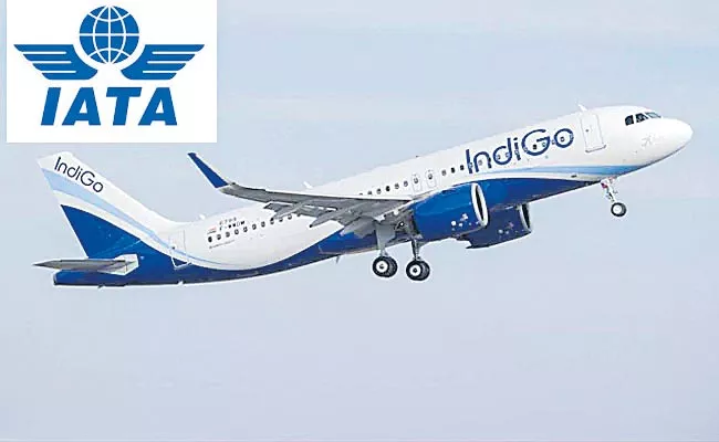 IndiGo becomes IATA member to aid global expansion - Sakshi