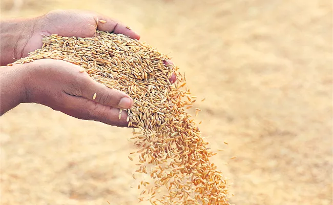 Paddy Production Overcome 21 Years Record In Telangana - Sakshi