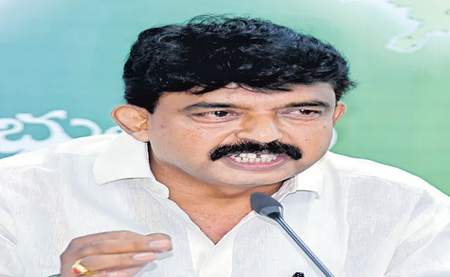 Perni Nani Fires Over Pawan Kalyan - Sakshi