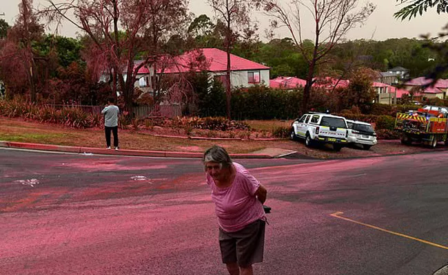 Sydney suburb of Turramurra: Pink Fire Retardant powder - Sakshi