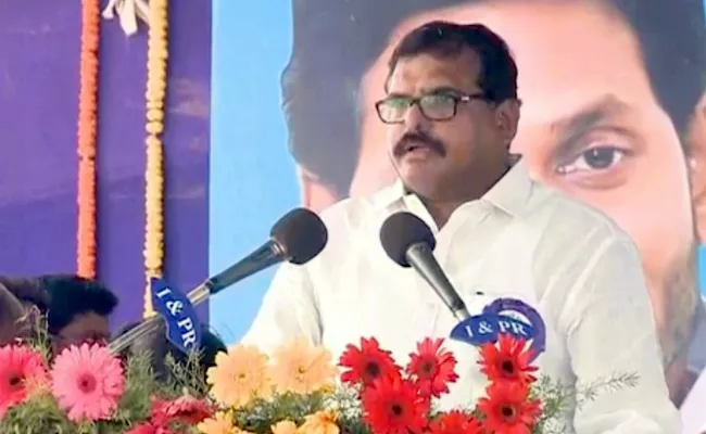 Minister Botsa Satyanarayana Fires On Chandrababu - Sakshi