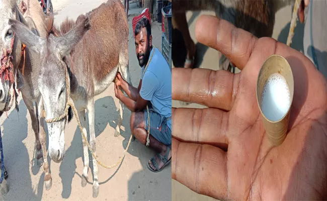 Donkey Milk Help To Reduce Health Issues - Sakshi