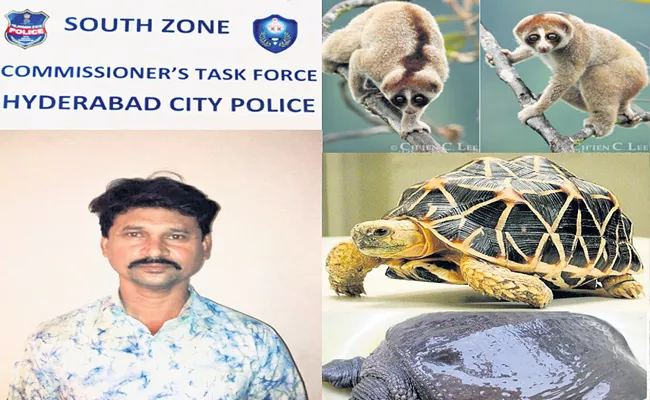 Wild Animals Sales Going On Secretly One Arrested In Telangana - Sakshi