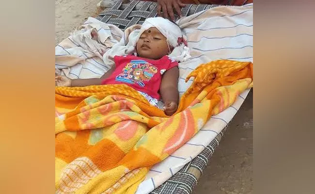 18 Months girl Child Died In Nalgonda - Sakshi