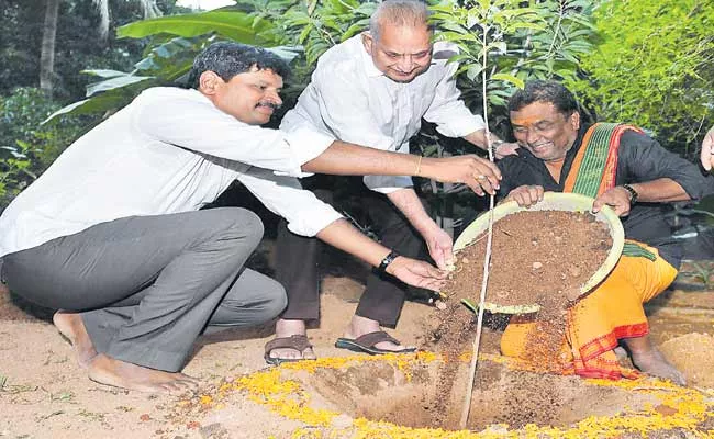 Actor Krishna Participated In Green India Challenge - Sakshi