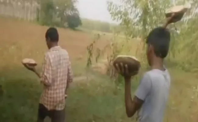 Thousands of Tortoises Spoted in Bhadradri kothagudem - Sakshi