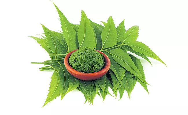 Tips For Neem Leaves - Sakshi