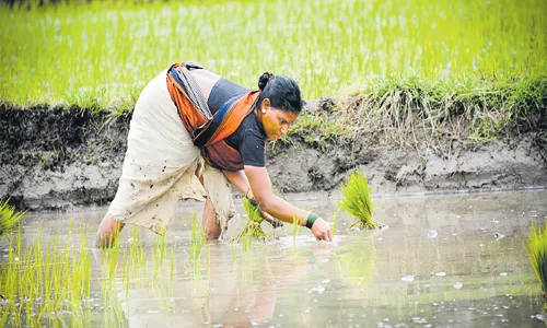 Projects Showing Good Progress In Telangana - Sakshi