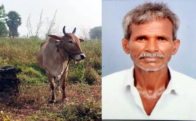 A Farmer Killed In Cow Attack In Munugodu nalgonda - Sakshi