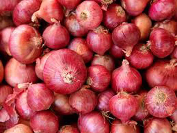 This Village In Bihar Wouldnt Care Over Onions Cost - Sakshi