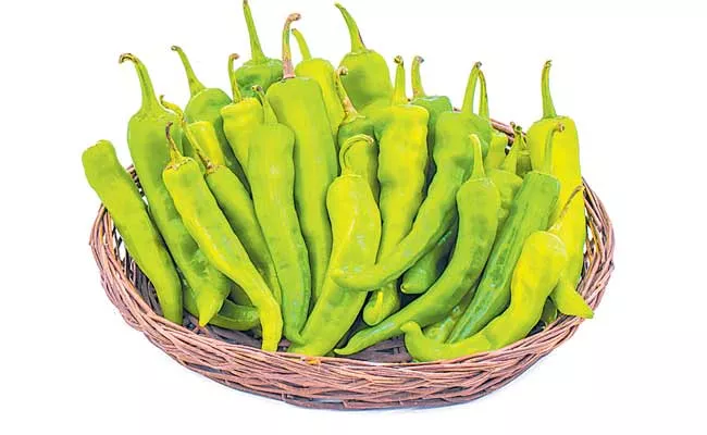 Green Chili Is Very Good For Health - Sakshi