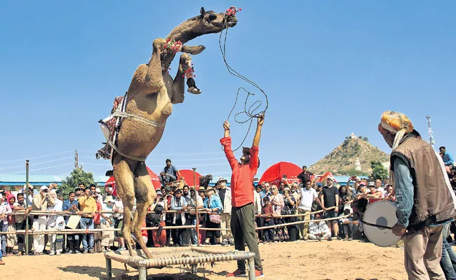 Rajasthan Ajmers Famous Pushkar Mela Begins Many Nationals - Sakshi