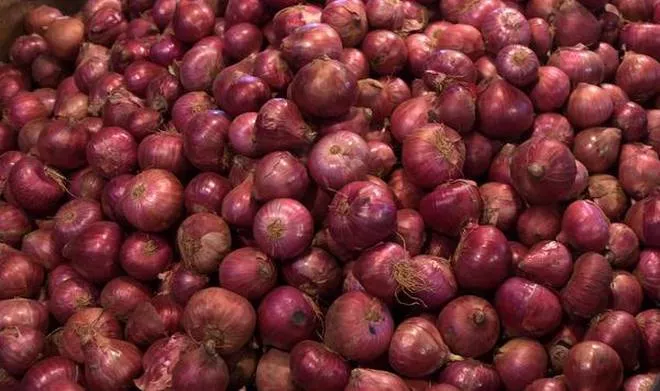 Trading Firm To Buy Onion From Turkey - Sakshi