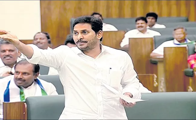 CM YS Jagan Comments on Onion Prices In Assembly - Sakshi