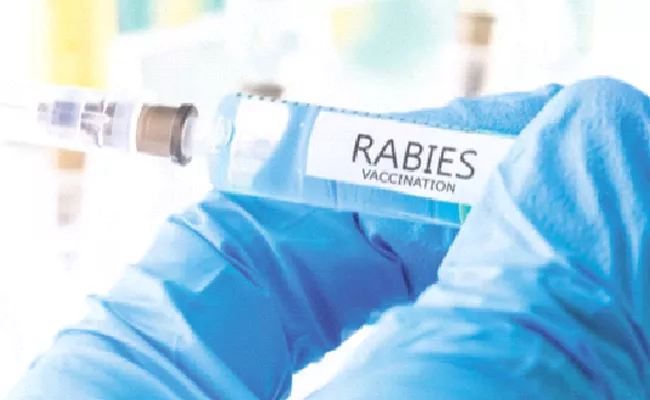 Rabies Vaccine Not Available In Hospitals At Anantapur - Sakshi