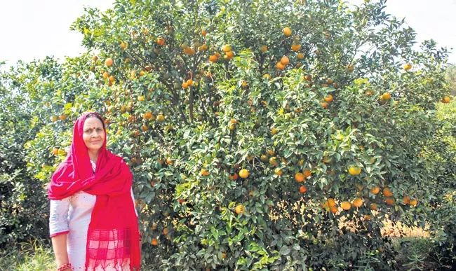  Asha practices zero budget natural farming - Sakshi