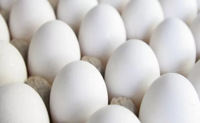 Eggs Prices Hikes in Telangana - Sakshi