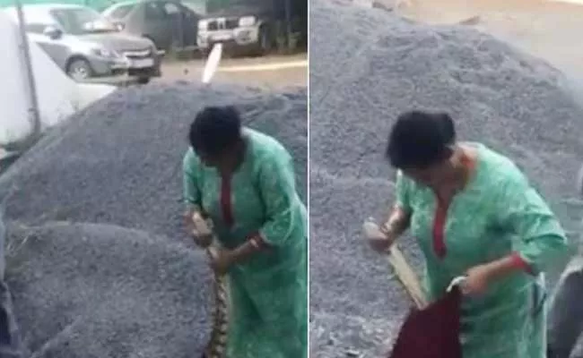 Woman Captures Python In Kochi Netizens Applaud Her - Sakshi