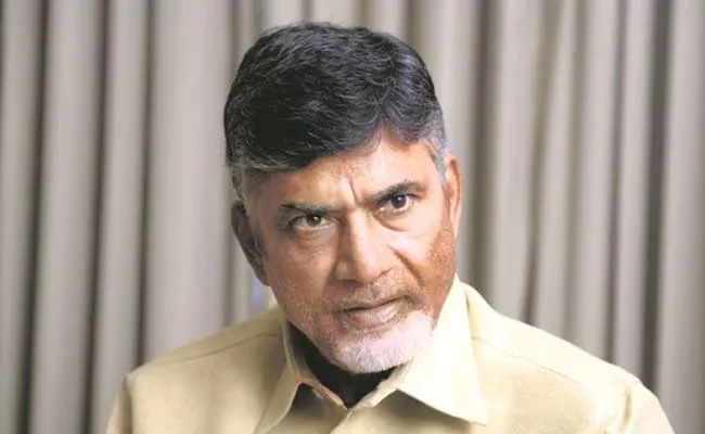 Chandrababu Naidu Comments On YSRCP Government - Sakshi