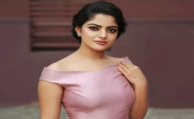 Nikhila Vimal in Karthi Donga Movie - Sakshi