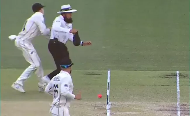 AUS VS NZ 1st Test: Aleem Dar Was Knocked on the Knee by Santner - Sakshi