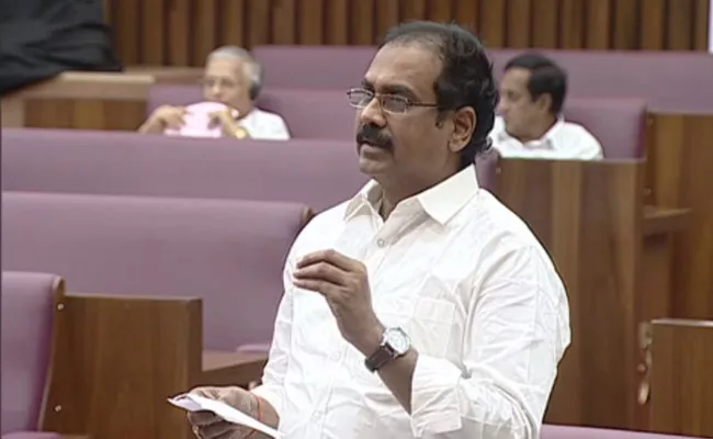 Minister Kurasala Kannababu Speech In Legislative Council - Sakshi