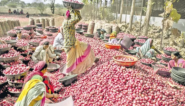 Onions price of increased by 172 persant - Sakshi