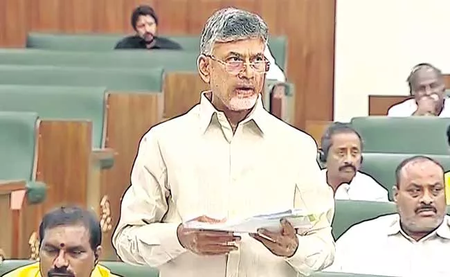 Can Someone Put The Capital In Three Areas Says Chandrababu Naidu - Sakshi