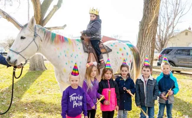 Child With Brain Cancer Friends Fulfill His Wish Of Riding Unicorn - Sakshi