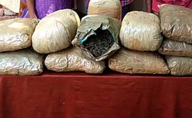 Task Force Police Arrested Ganja Smuggling Gang In HyderAabad - Sakshi