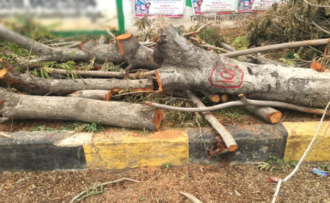 Shopping Mall In Siddipet Fined Rs 45,000 For Cutting Trees - Sakshi