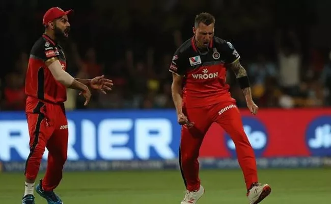 IPL 2020: Dale Steyn Confident RCB Will Win - Sakshi