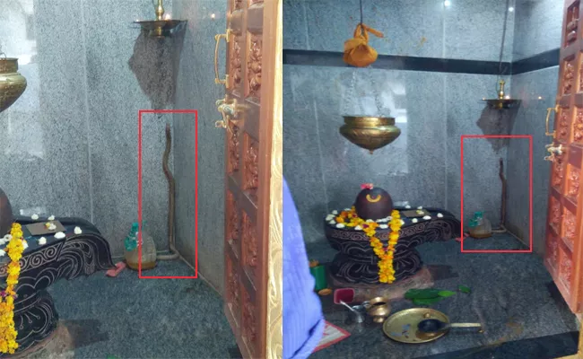 Snake in Lord Shiva Temple Anantapur - Sakshi