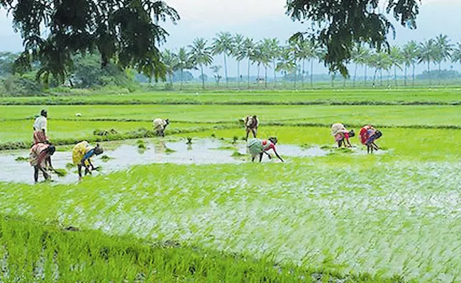 TS Agriculture Department Proposes Loan Waiving With Farmers Sign - Sakshi